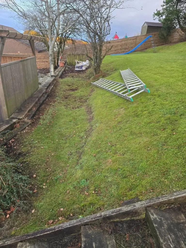 garden tidy up services