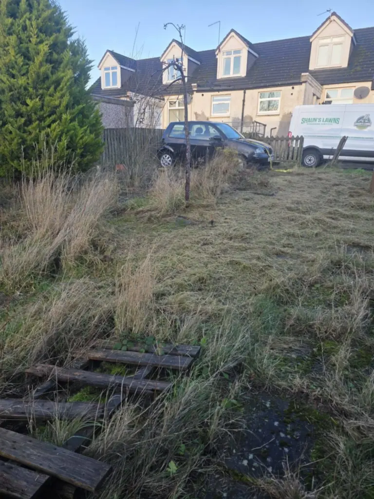 garden tree maintenance