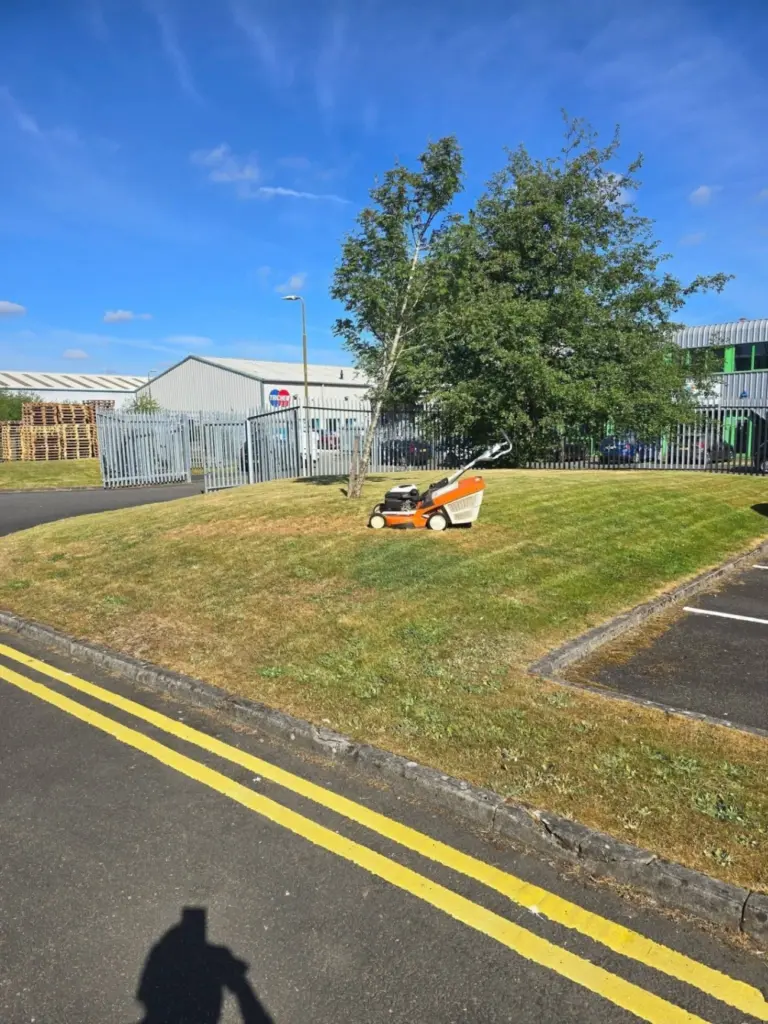 grass cutting results