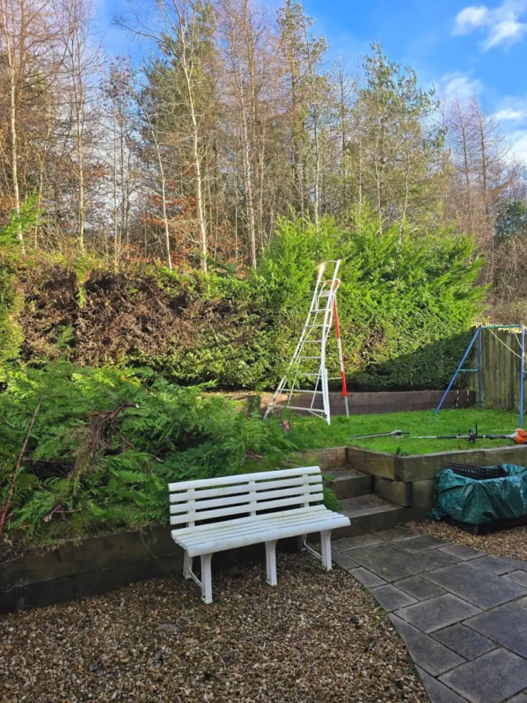 lawn care services West Lothian