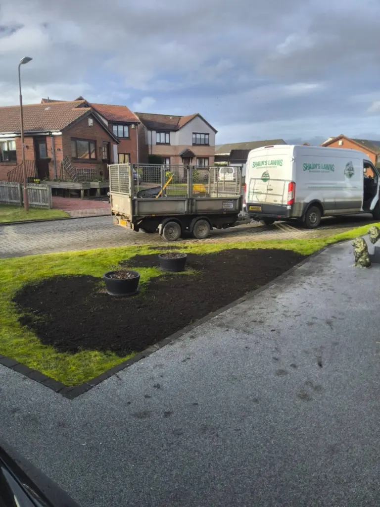 lawn improvement projects