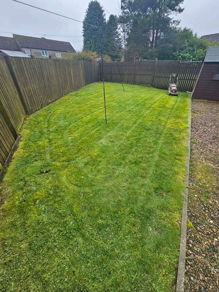lawn-repair